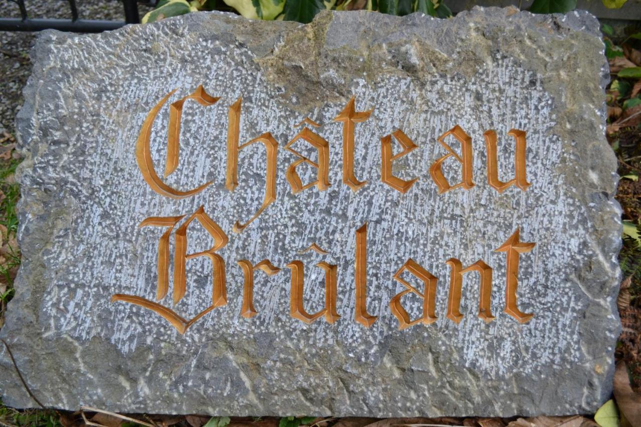 Chateau Brulant Holiday home *